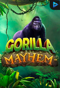 Bocoran RTP Gorilla Mayhem di SENSA838 - GENERATOR SLOT RTP RESMI SERVER PUSAT